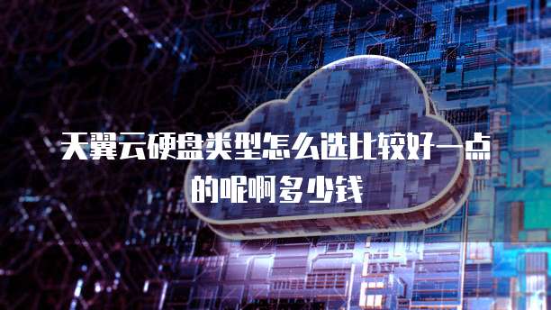 天翼云硬盘类型怎么选比较好一点的呢啊多少钱