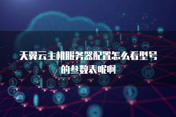 天翼云主机服务器配置怎么看型号的参数表呢啊