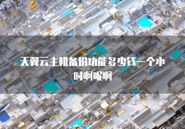 天翼云主机备份功能多少钱一个小时啊呢啊