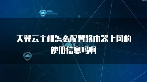 天翼云主机怎么配置路由器上网的使用信息吗啊