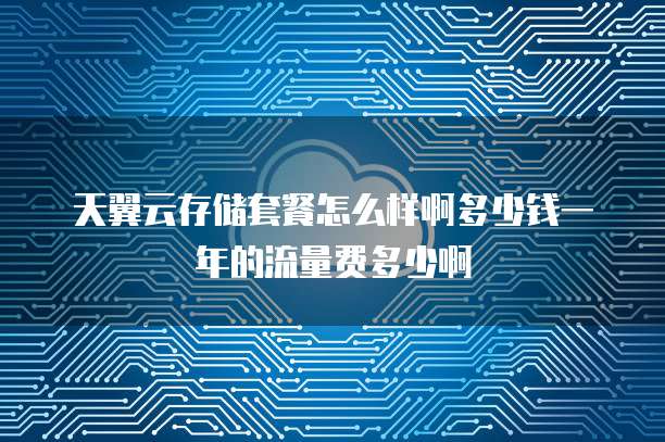 天翼云存储套餐怎么样啊多少钱一年的流量费多少啊