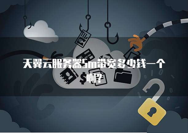 天翼云服务器5m带宽多少钱一个啊？
