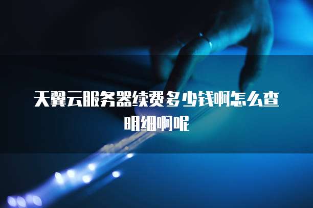 天翼云服务器续费多少钱啊怎么查明细啊呢
