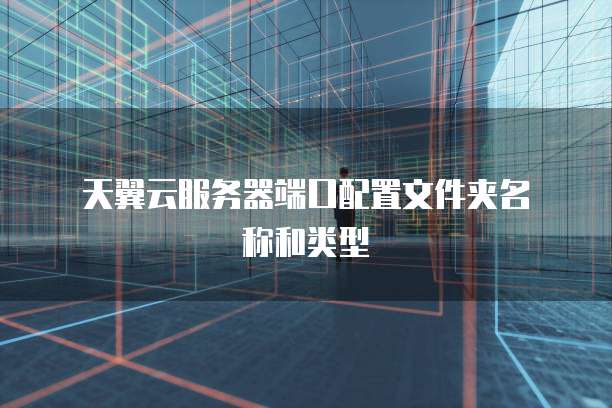  天翼云服务器端口配置文件夹名称和类型