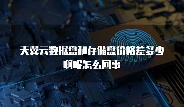 天翼云数据盘和存储盘价格差多少啊呢怎么回事