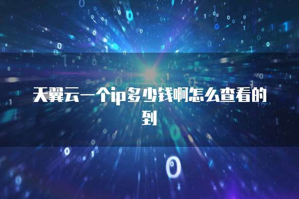 天翼云一个ip多少钱啊怎么查看的到