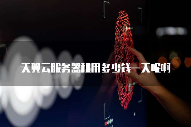 天翼云服务器租用多少钱一天呢啊
