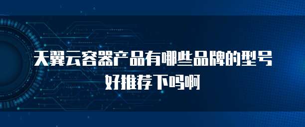 天翼云容器产品有哪些品牌的型号好推荐下吗啊