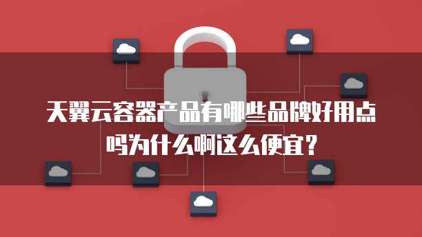 天翼云容器产品有哪些品牌好用点吗为什么啊这么便宜?