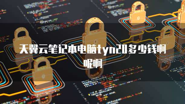 天翼云笔记本电脑tyn20多少钱啊呢啊
