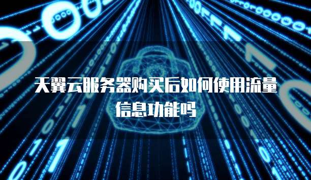 天翼云服务器购买后如何使用流量信息功能吗
