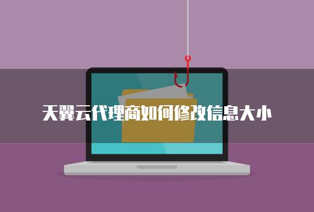 天翼云代理商如何修改信息大小