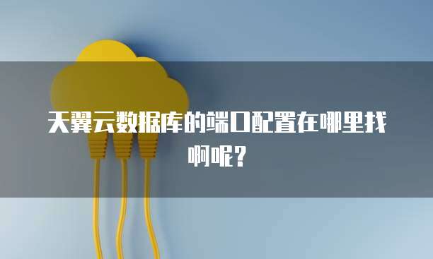 天翼云数据库的端口配置在哪里找啊呢？