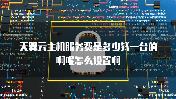 天翼云主机服务费是多少钱一台的啊呢怎么设置啊