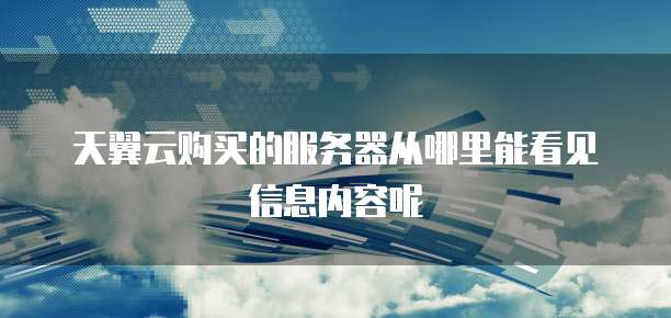 天翼云购买的服务器从哪里能看见信息内容呢