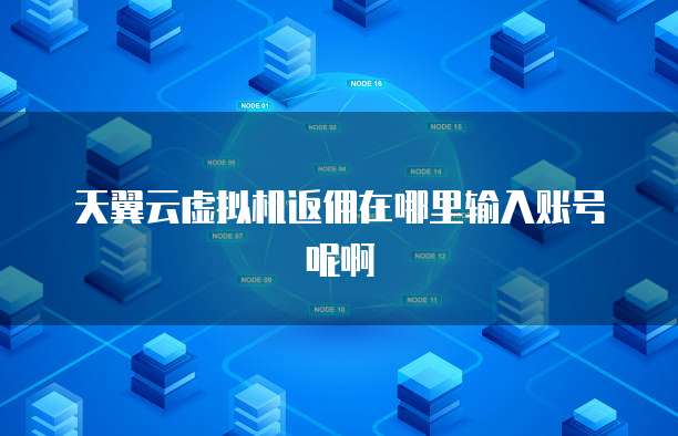 天翼云虚拟机返佣在哪里输入账号呢啊