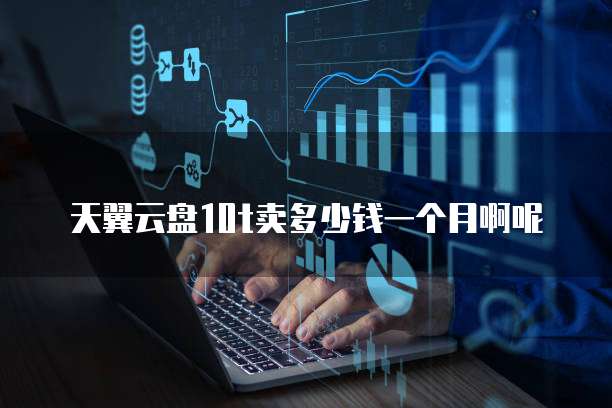 天翼云盘10t卖多少钱一个月啊呢