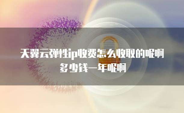 天翼云弹性ip收费怎么收取的呢啊多少钱一年呢啊