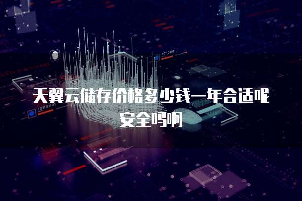 天翼云储存价格多少钱一年合适呢安全吗啊