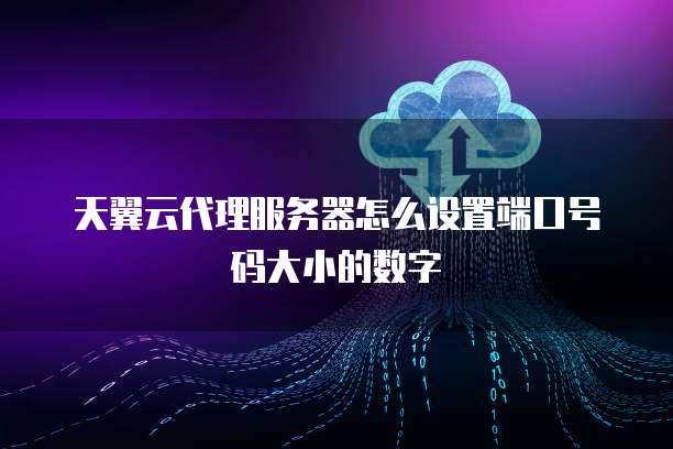 天翼云代理服务器怎么设置端口号码大小的数字