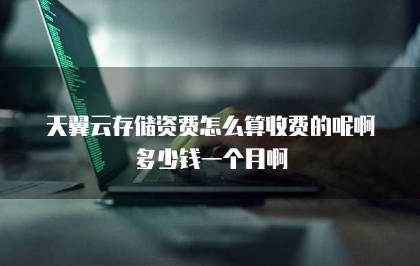 天翼云存储资费怎么算收费的呢啊多少钱一个月啊