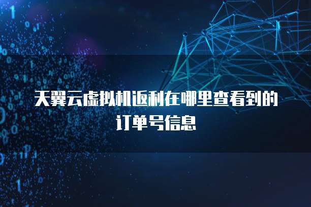 天翼云虚拟机返利在哪里查看到的订单号信息