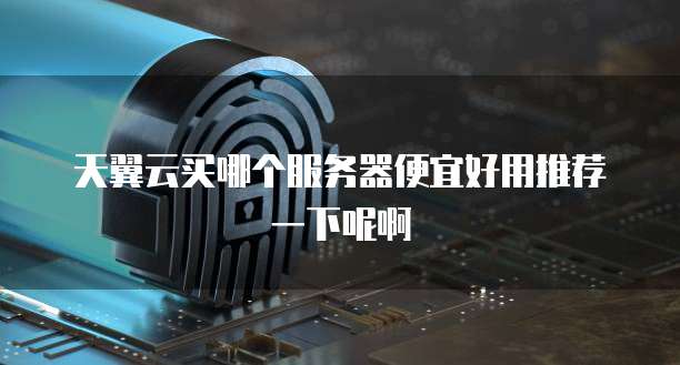 天翼云买哪个服务器便宜好用推荐一下呢啊