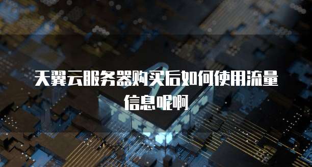 天翼云服务器购买后如何使用流量信息呢啊