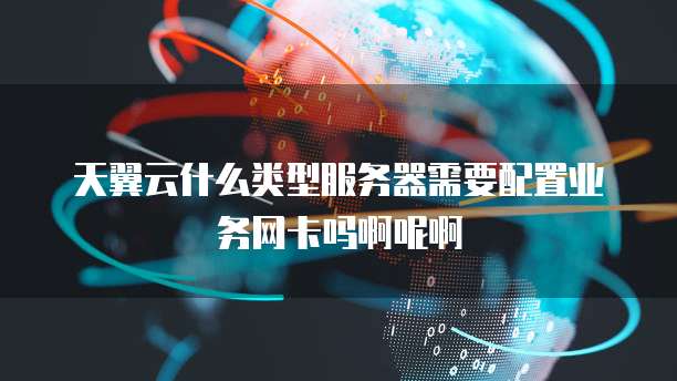 天翼云什么类型服务器需要配置业务网卡吗啊呢啊