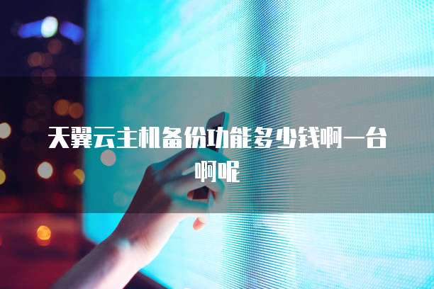 天翼云主机备份功能多少钱啊一台啊呢