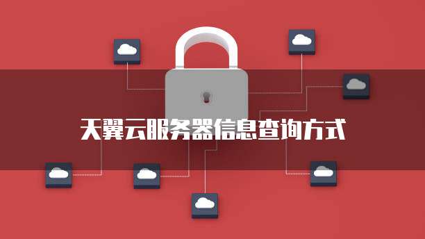 天翼云服务器信息查询方式