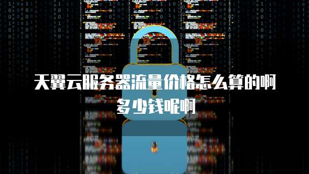 天翼云服务器流量价格怎么算的啊多少钱呢啊