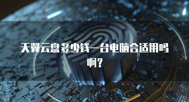 天翼云盘多少钱一台电脑合适用吗啊?