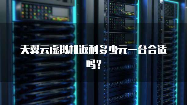 天翼云虚拟机返利多少元一台合适吗？