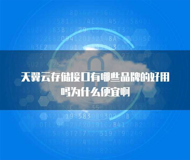 天翼云存储接口有哪些品牌的好用吗为什么便宜啊