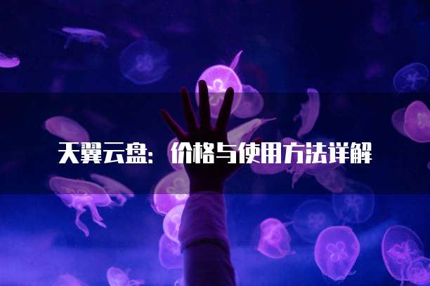 天翼云盘：价格与使用方法详解