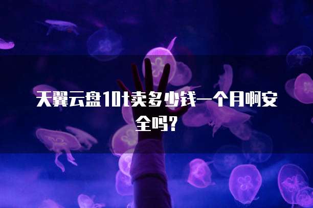 天翼云盘10t卖多少钱一个月啊安全吗?