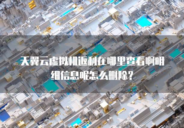 天翼云虚拟机返利在哪里查看啊明细信息呢怎么删除?