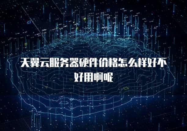 天翼云服务器硬件价格怎么样好不好用啊呢