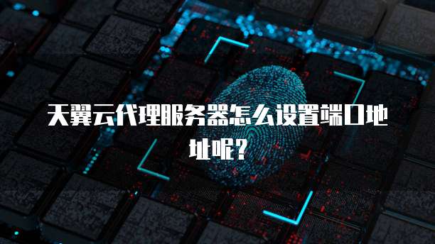 天翼云代理服务器怎么设置端口地址呢?