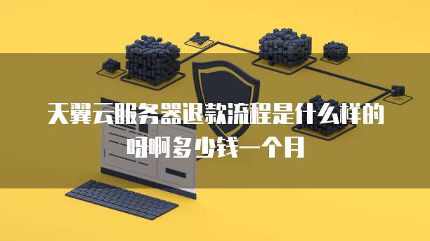 天翼云服务器退款流程是什么样的呀啊多少钱一个月