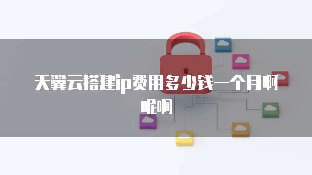 天翼云搭建ip费用多少钱一个月啊呢啊