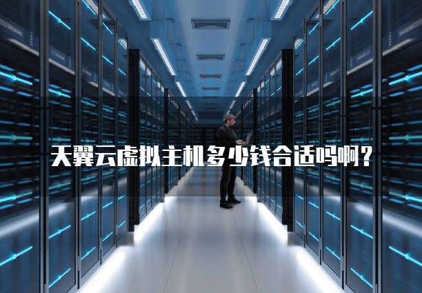 天翼云虚拟主机多少钱合适吗啊?