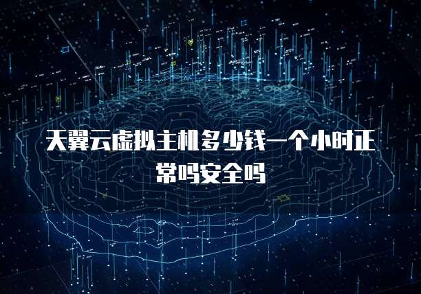 天翼云虚拟主机多少钱一个小时正常吗安全吗