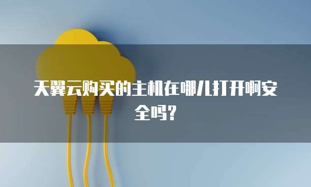 天翼云购买的主机在哪儿打开啊安全吗？