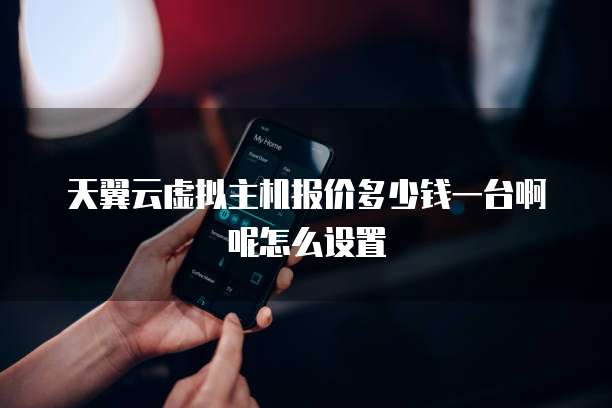 天翼云虚拟主机报价多少钱一台啊呢怎么设置