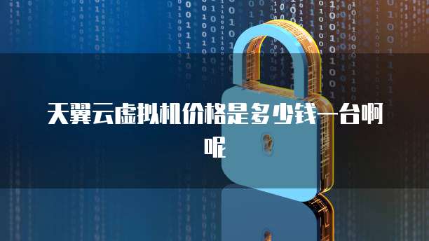 天翼云虚拟机价格是多少钱一台啊呢