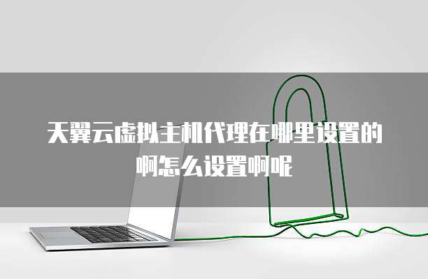 天翼云虚拟主机代理在哪里设置的啊怎么设置啊呢