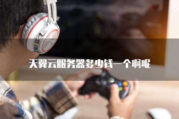 天翼云服务器多少钱一个啊呢