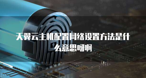 天翼云主机配置网络设置方法是什么意思呀啊